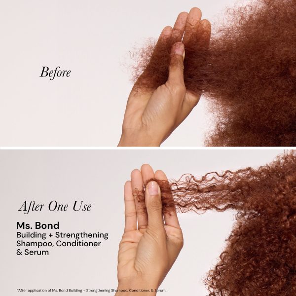 Ms. Bond System